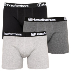 3PACK Boxershorts til mænd Horsefeathers flerfarvet (AM067D)