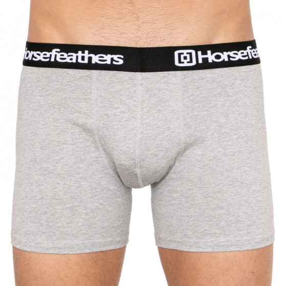 3PACK Boxershorts til mænd Horsefeathers flerfarvet (AM067D)