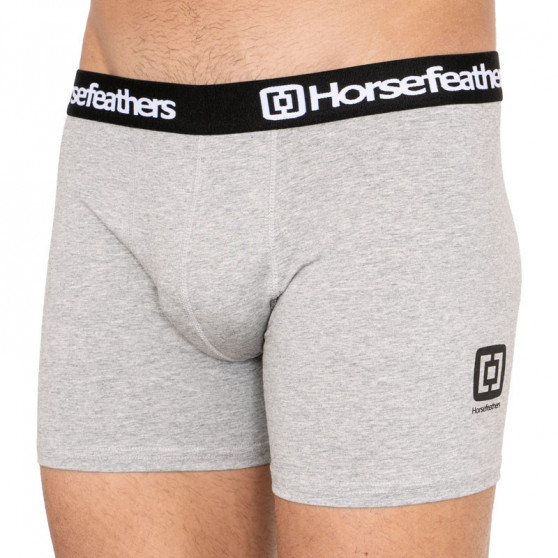 3PACK Boxershorts til mænd Horsefeathers flerfarvet (AM067D)