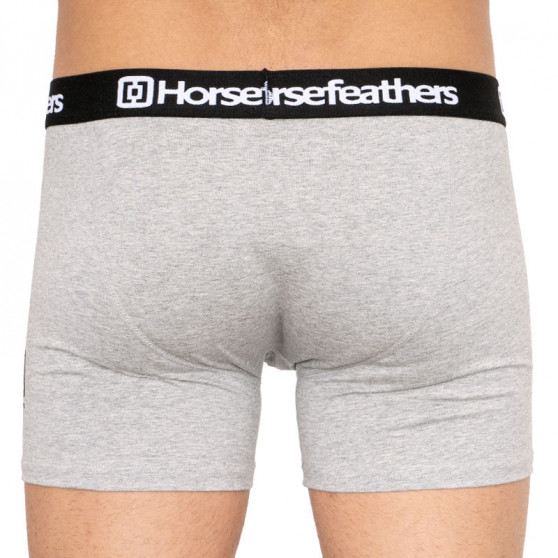 3PACK Boxershorts til mænd Horsefeathers flerfarvet (AM067D)