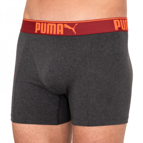 3PACK Boxershorts til mænd Puma flerfarvet (681030001 899)