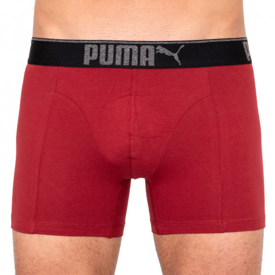 3PACK Boxershorts til mænd Puma flerfarvet (681030001 899)