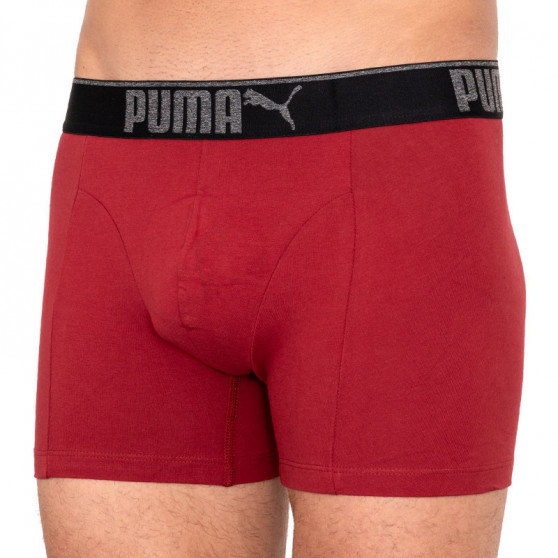 3PACK Boxershorts til mænd Puma flerfarvet (681030001 899)