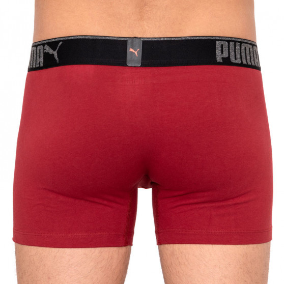 3PACK Boxershorts til mænd Puma flerfarvet (681030001 899)