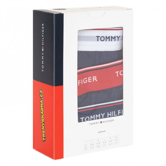 3PACK Trusser til mænd Tommy Hilfiger mørkeblå (1U87903766 904)