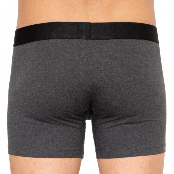 2PACK Boxershorts til mænd Levis flerfarvet (995048001 792)