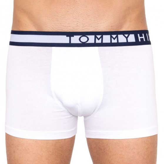 3PACK Boxershorts til mænd Tommy Hilfiger flerfarvet (UM0UM01234 599)