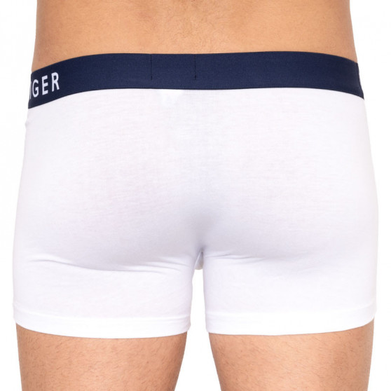 3PACK Boxershorts til mænd Tommy Hilfiger flerfarvet (UM0UM01234 599)