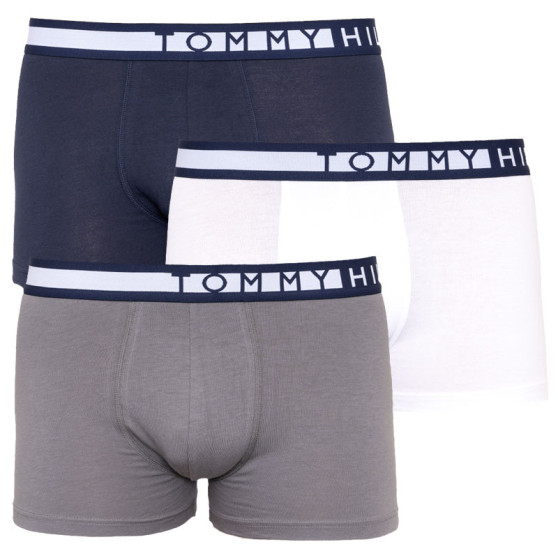 3PACK Boxershorts til mænd Tommy Hilfiger flerfarvet (UM0UM01234 599)