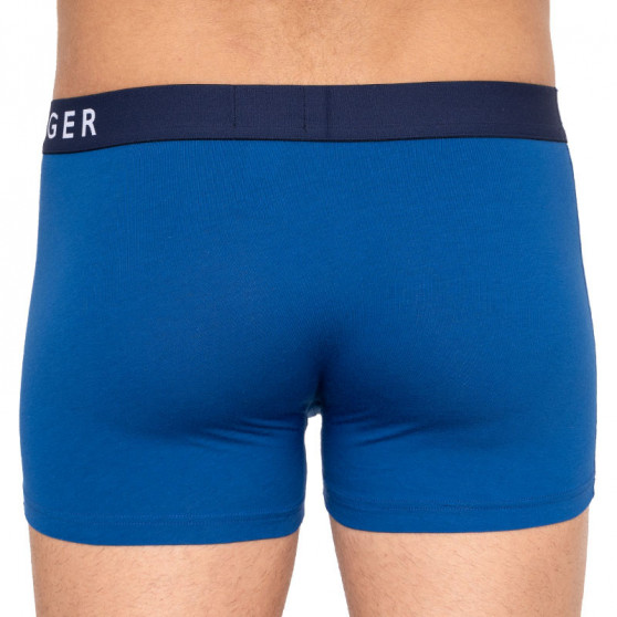 3PACK Boxershorts til mænd Tommy Hilfiger flerfarvet (UM0UM01565 018)