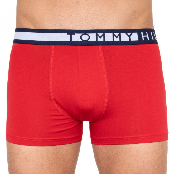 3PACK Boxershorts til mænd Tommy Hilfiger flerfarvet (UM0UM01565 018)