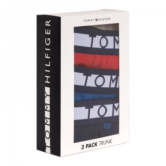 3PACK Boxershorts til mænd Tommy Hilfiger flerfarvet (UM0UM01565 018)