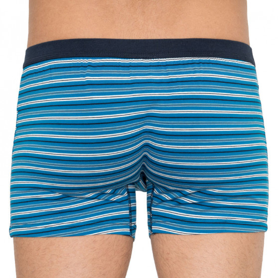 Boxershorts til mænd Andrie blå (PS 5216a)