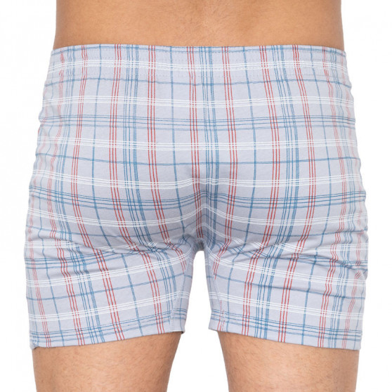 Boxershorts til mænd Andrie grå (PS 5275d)