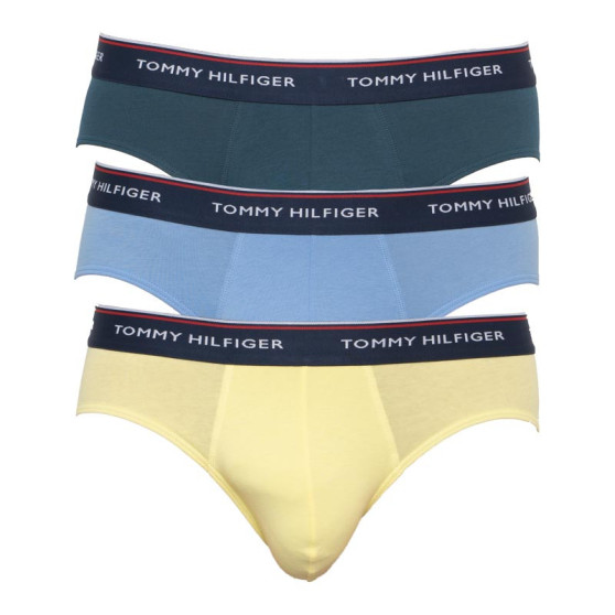 3PACK Trusser til mænd Tommy Hilfiger flerfarvet (1U87903766 0RV)