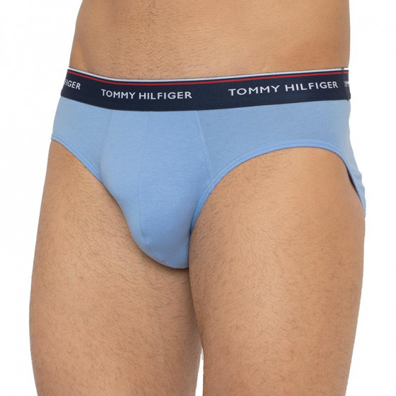 3PACK Trusser til mænd Tommy Hilfiger flerfarvet (1U87903766 0RV)