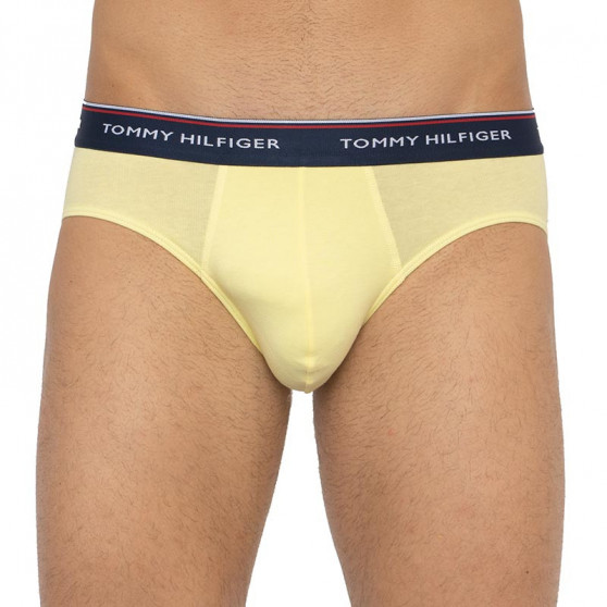 3PACK Trusser til mænd Tommy Hilfiger flerfarvet (1U87903766 0RV)