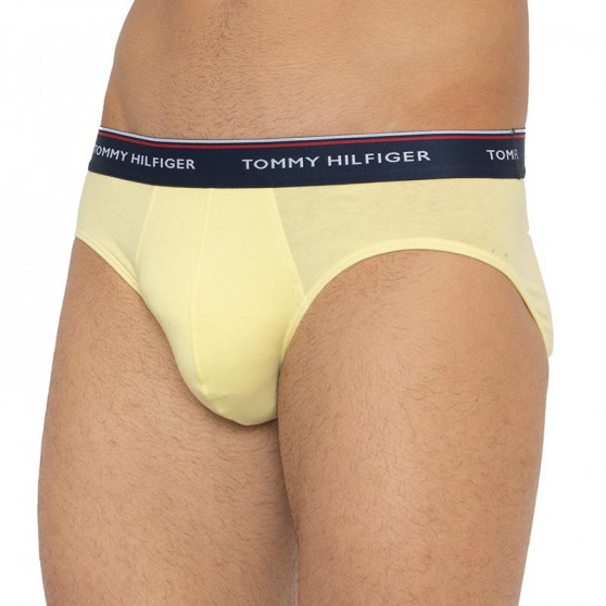 3PACK Trusser til mænd Tommy Hilfiger flerfarvet (1U87903766 0RV)