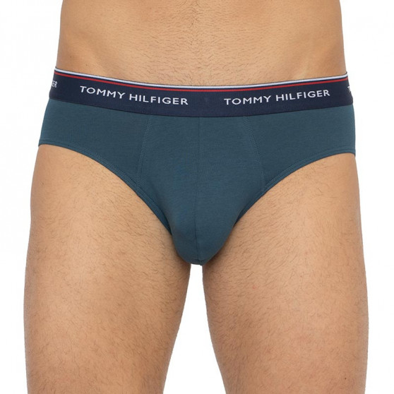 3PACK Trusser til mænd Tommy Hilfiger flerfarvet (1U87903766 0RV)