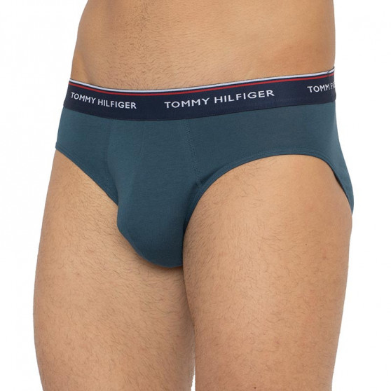 3PACK Trusser til mænd Tommy Hilfiger flerfarvet (1U87903766 0RV)