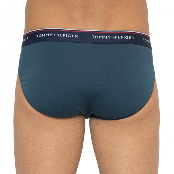 3PACK Trusser til mænd Tommy Hilfiger flerfarvet (1U87903766 0RV)