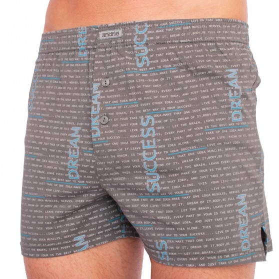 Boxershorts til mænd Andrie grøn-grå (PS 5457 D)