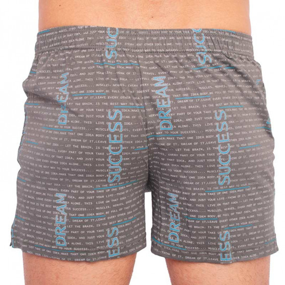 Boxershorts til mænd Andrie grøn-grå (PS 5457 D)