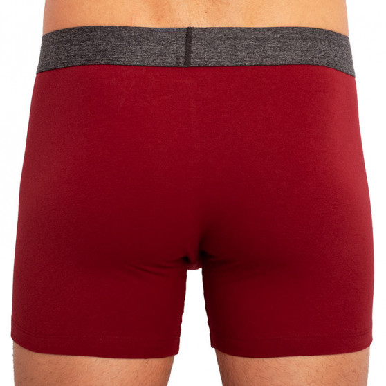 2PACK Boxershorts til mænd Levis flerfarvet (100000514 001)