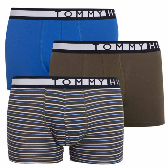 3PACK Boxershorts til mænd Tommy Hilfiger flerfarvet (UM0UM01565 0TY)