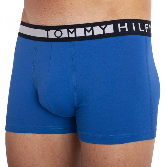 3PACK Boxershorts til mænd Tommy Hilfiger flerfarvet (UM0UM01565 0TY)