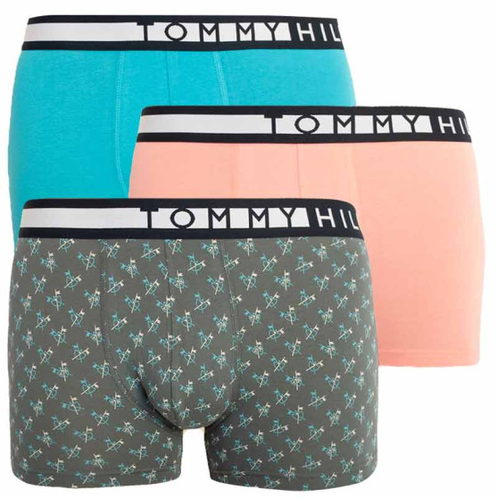 3PACK Boxershorts til mænd Tommy Hilfiger flerfarvet (UM0UM01565 0VJ)