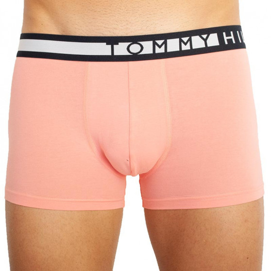 3PACK Boxershorts til mænd Tommy Hilfiger flerfarvet (UM0UM01565 0VJ)