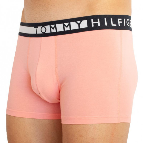 3PACK Boxershorts til mænd Tommy Hilfiger flerfarvet (UM0UM01565 0VJ)