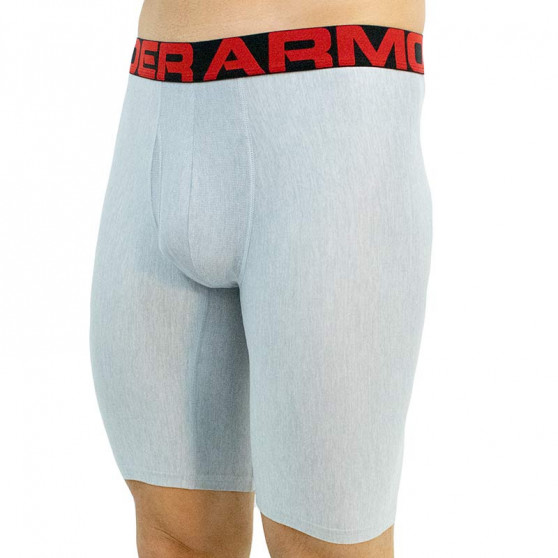 2PACK Boxershorts til mænd Under Armour grå (1363622 011)