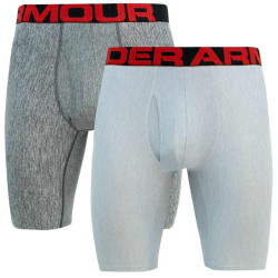 2PACK Boxershorts til mænd Under Armour grå (1363622 011)