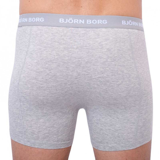 5PACK Boxershorts til mænd Bjorn Borg flerfarvet (2031-1041-81421)