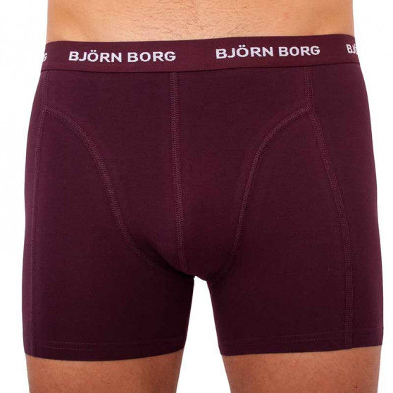 5PACK Boxershorts til mænd Bjorn Borg flerfarvet (2031-1041-81421)