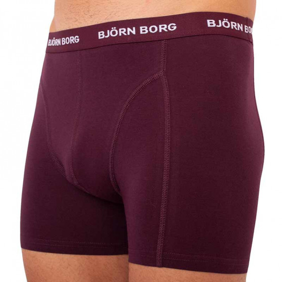 5PACK Boxershorts til mænd Bjorn Borg flerfarvet (2031-1041-81421)