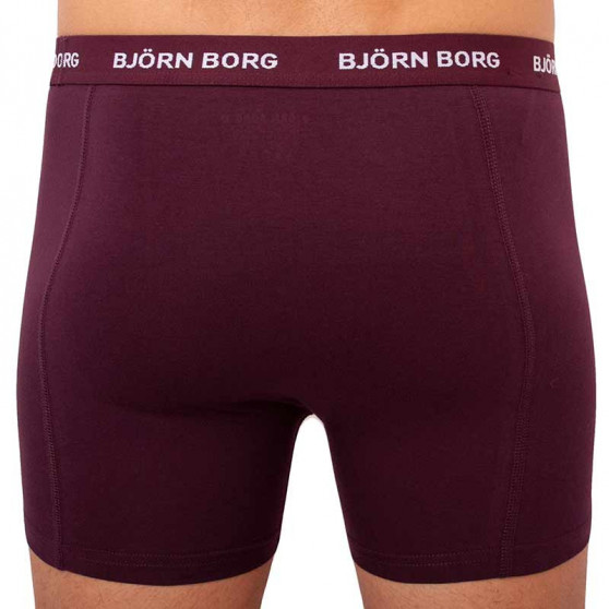 5PACK Boxershorts til mænd Bjorn Borg flerfarvet (2031-1041-81421)