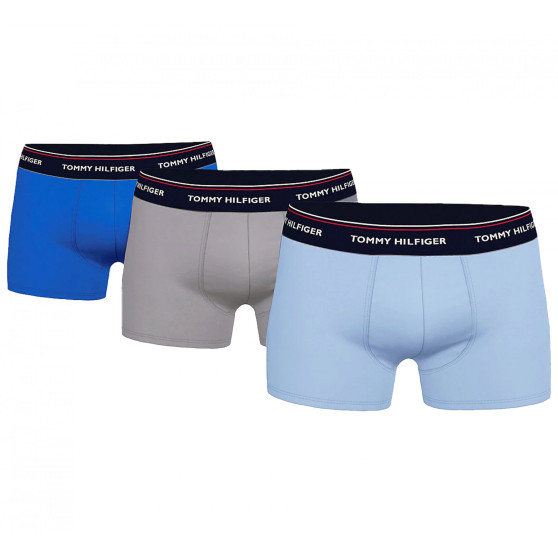 3PACK Boxershorts til mænd Tommy Hilfiger flerfarvet (1U87903842 0T1)