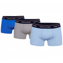 3PACK Boxershorts til mænd Tommy Hilfiger flerfarvet (1U87903842 0T1)