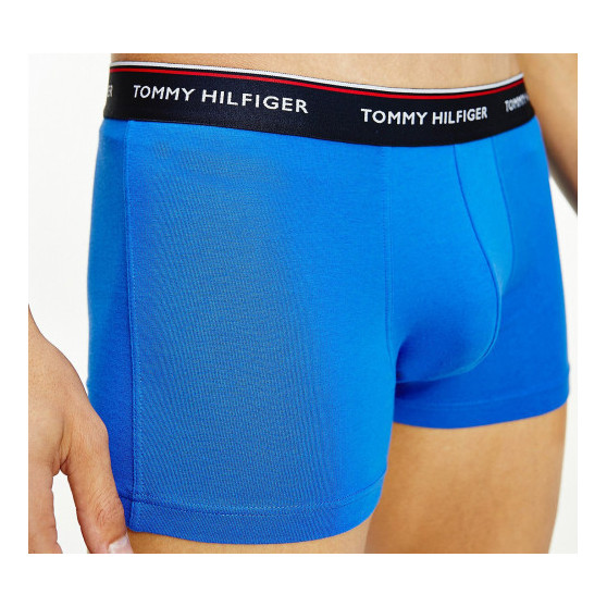 3PACK Boxershorts til mænd Tommy Hilfiger flerfarvet (1U87903842 0T1)