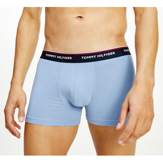 3PACK Boxershorts til mænd Tommy Hilfiger flerfarvet (1U87903842 0T1)