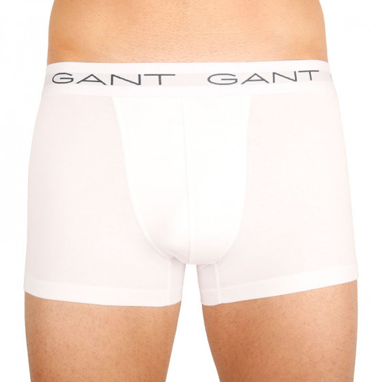 3PACK Boxershorts til mænd Gant flerfarvet (3003-93)