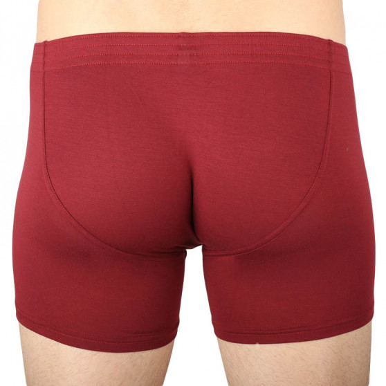 3PACK Boxershorts til mænd Styx lang klassisk elastik (F10606263)