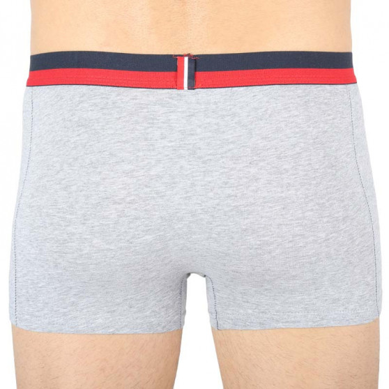 2PACK Boxershorts til mænd Fila grå (FU5020/2-400)