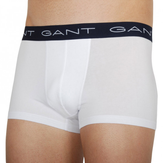 3PACK Boxershorts til mænd Gant flerfarvet (902113013-336)