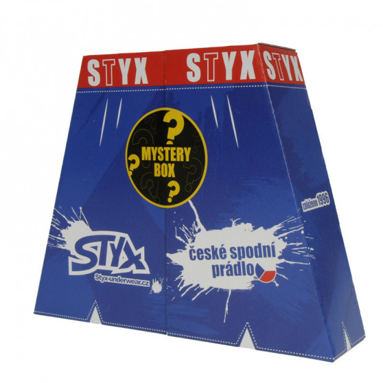 MYSTERY BOX - 5PACK dameshorts  sportselastik flerfarvet Styx