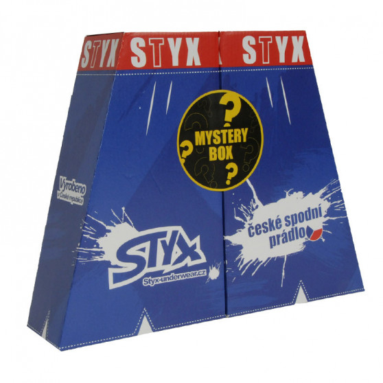 MYSTERY BOX - 5PACK dameshorts  klassisk elastik flerfarvet Styx