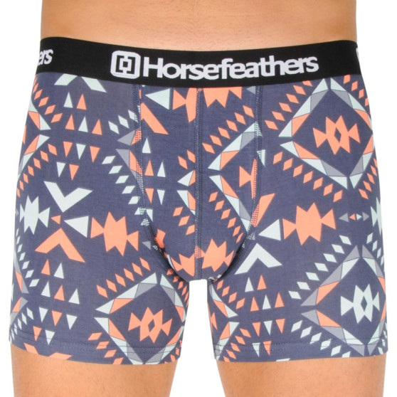 Boxershorts til mænd Horsefeathers Sidney aztec (AM070V)